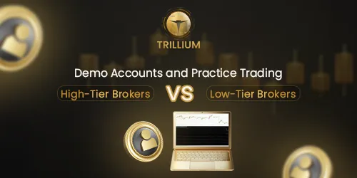Demo Accounts and Practice Trading