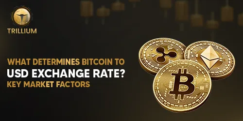 Bitcoin to USD Exchange Rate